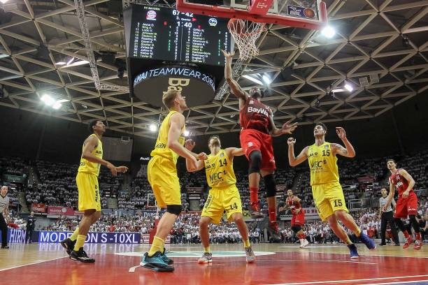 自然嵌入 自然嵌入