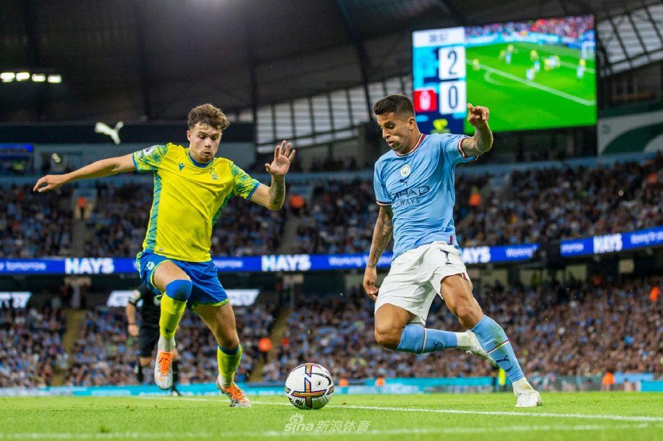 预示着巴西 预示着巴西